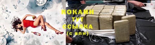 винт Абаза