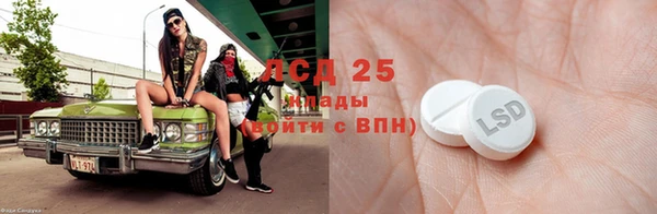 гашик Алексеевка
