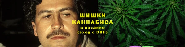 гашик Алексеевка